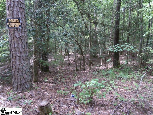 415 Twin Branch Road, Unit TRACT 3 Gray Court, SC 29645 - Photo 21 of 24 Gallery Image 21