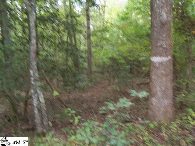 415 Twin Branch Road, Unit TRACT 3 Gray Court, SC 29645 - Photo 23 of 24 Gallery Image 23