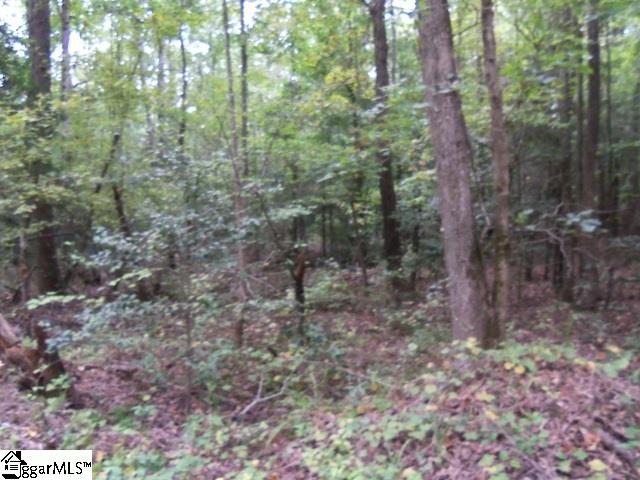 415 Twin Branch Road, Unit TRACT 3 Gray Court, SC 29645 - Photo 24 of 24 Gallery Image 24
