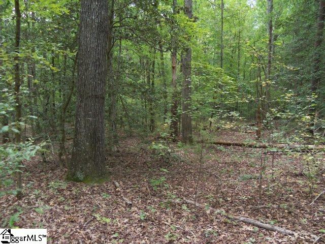 415 Twin Branch Road, Unit TRACT 3 Gray Court, SC 29645 - Photo 6 of 24 Gallery Image 6