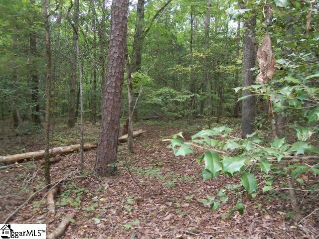 415 Twin Branch Road, Unit TRACT 3 Gray Court, SC 29645 - Photo 7 of 24 Gallery Image 7