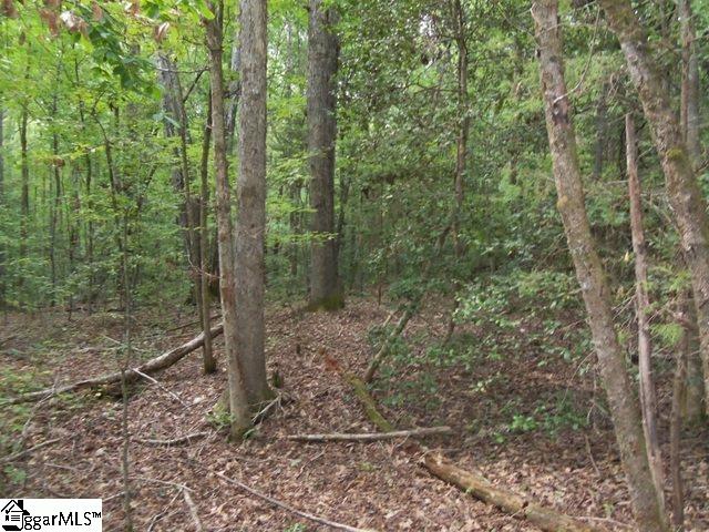 415 Twin Branch Road, Unit TRACT 3 Gray Court, SC 29645 - Photo 9 of 24 Gallery Image 9
