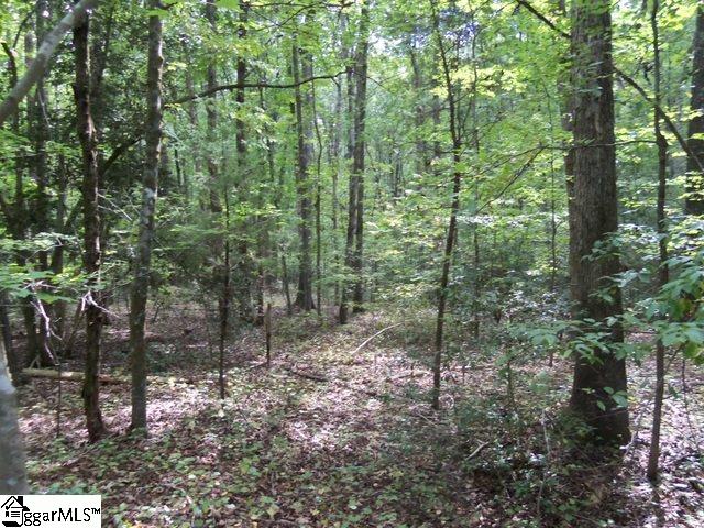 415 Twin Branch Road, Unit TRACT 3 Gray Court, SC 29645 - Photo 10 of 24 Gallery Image 10