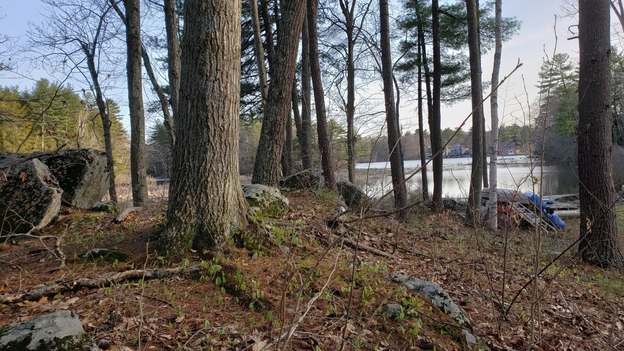 22-12-1 Chase Island Atkinson, NH 03811 - Photo 2 of 7