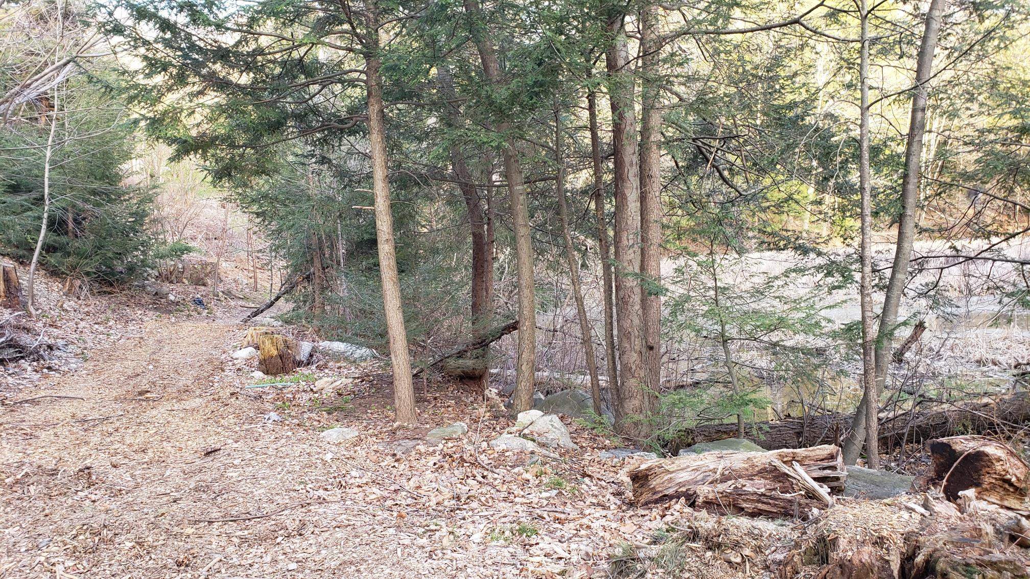 22-12-1 Chase Island Atkinson, NH 03811 - Photo 4 of 7
