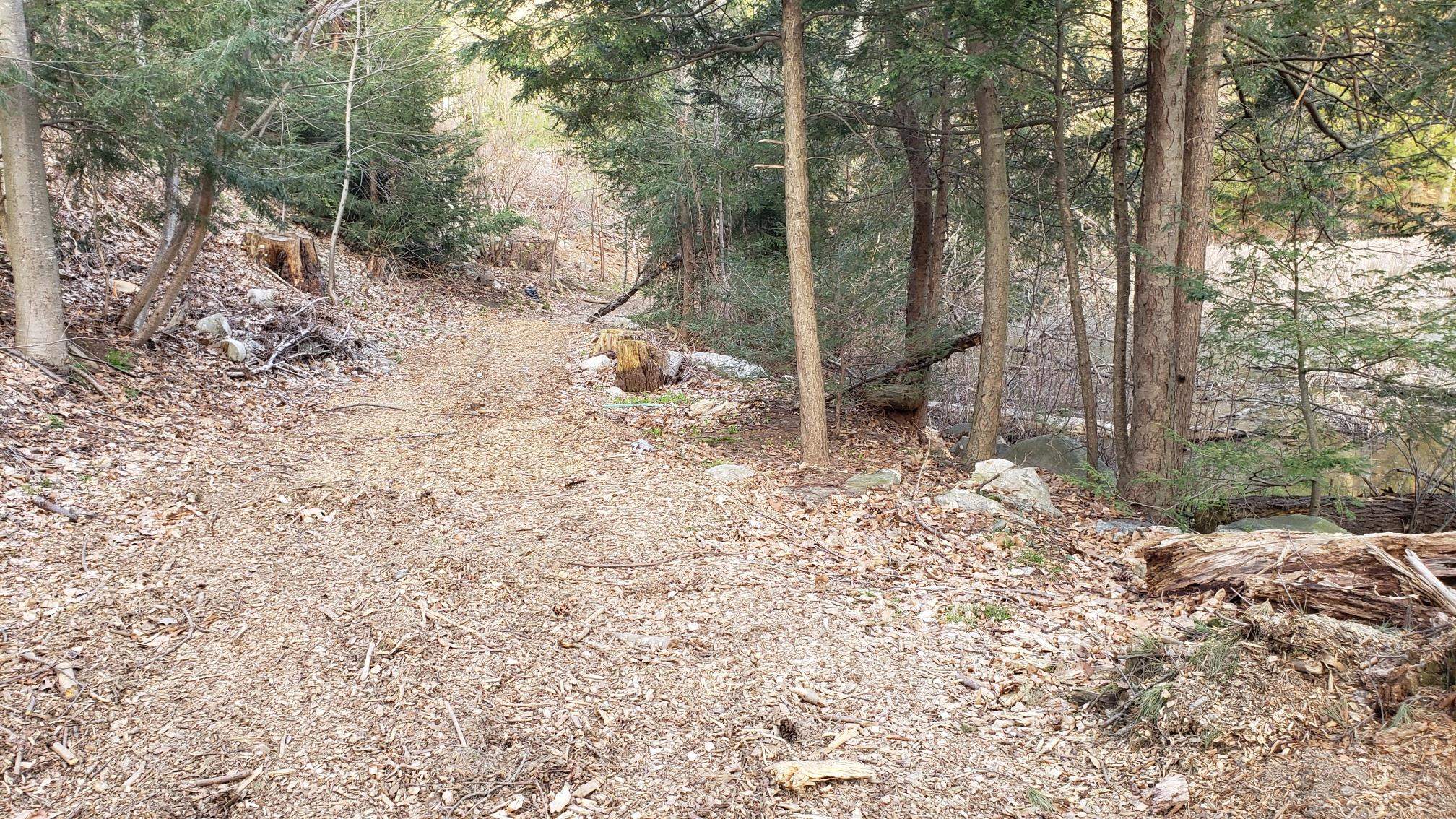 22-12-1 Chase Island Atkinson, NH 03811 - Photo 5 of 7