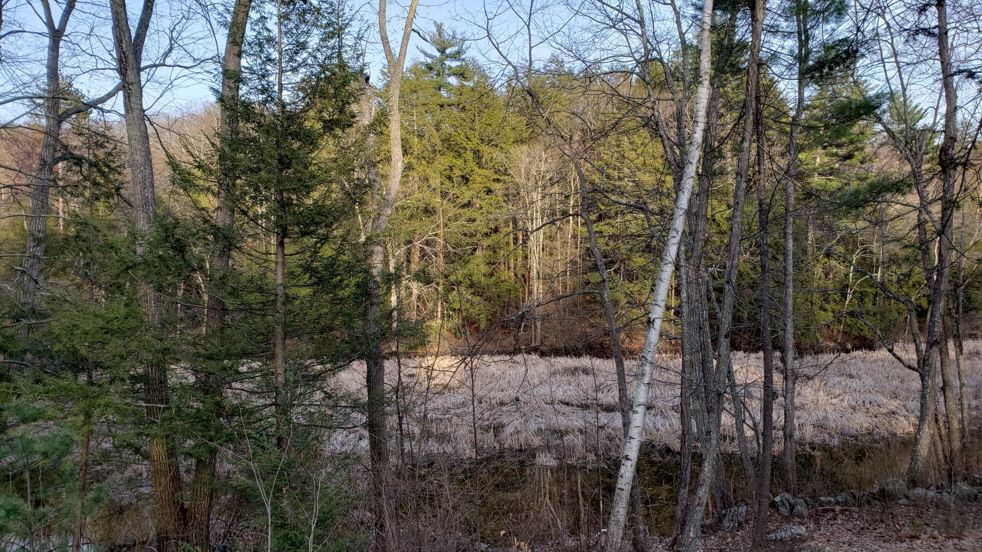 22-12-1 Chase Island Atkinson, NH 03811 - Photo 6 of 7