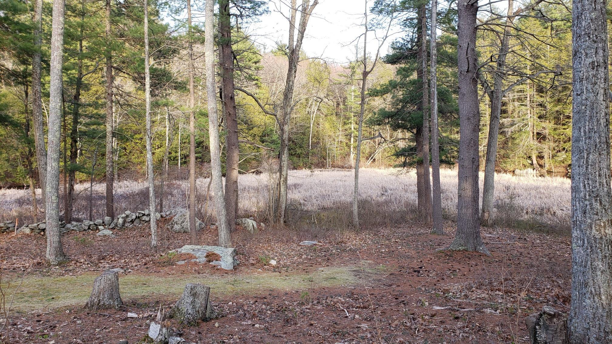 22-12-1 Chase Island Atkinson, NH 03811 - Photo 7 of 7