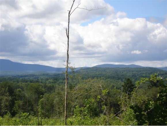 Middletown Road South Londonderry, VT 05155 - Photo 1 of 1 Gallery Image 1