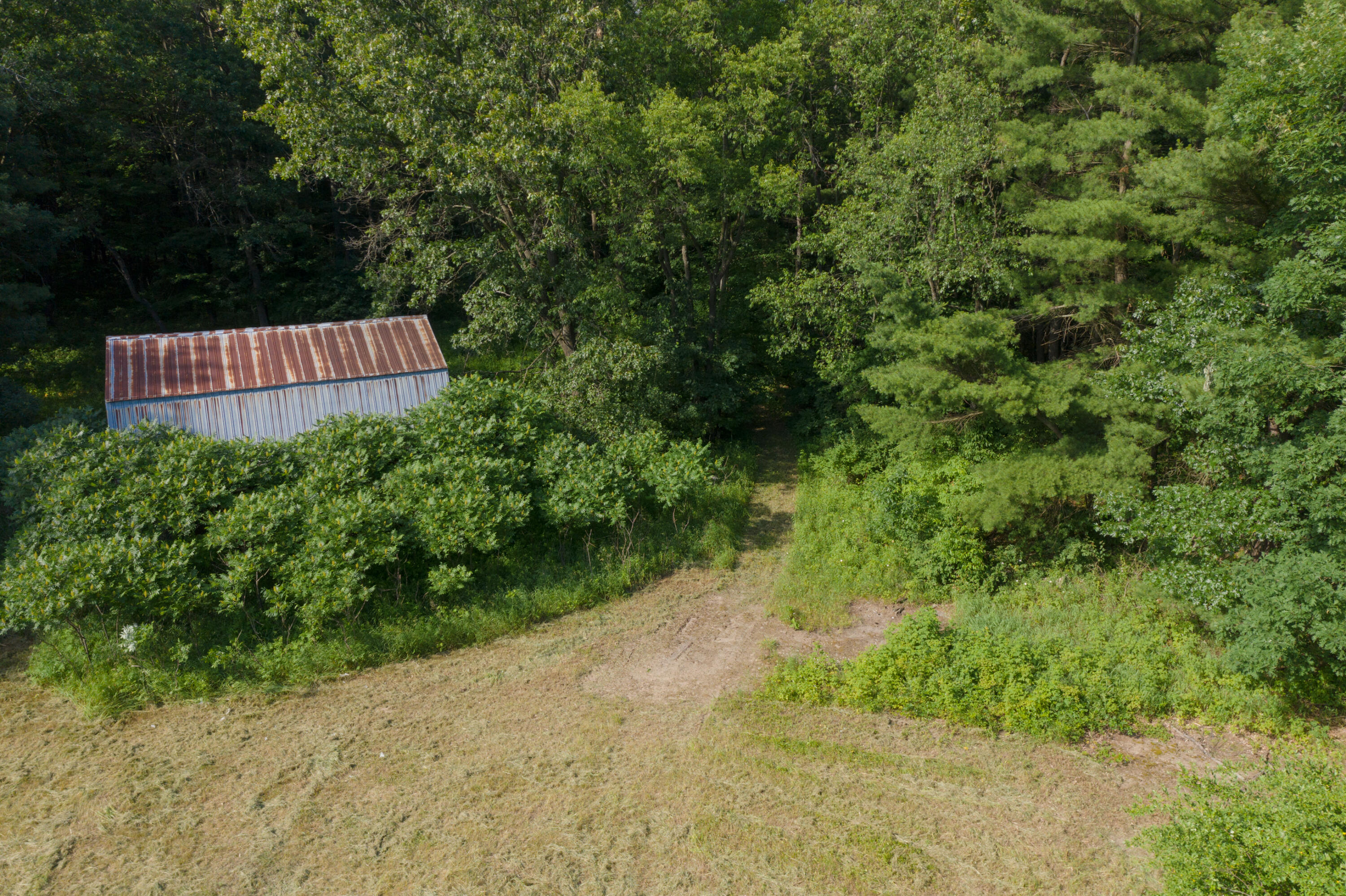 3530 West S County Line Road Fenwick, MI 48834 - Photo 7 of 25 DJI_0205