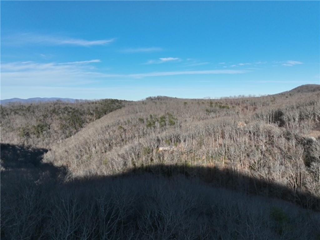 249 Andes Ridge Talking Rock, GA 30175 - Photo 12 of 20