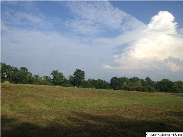 627 River Bend Road Cleveland, AL 35049 - Photo 13 of 14