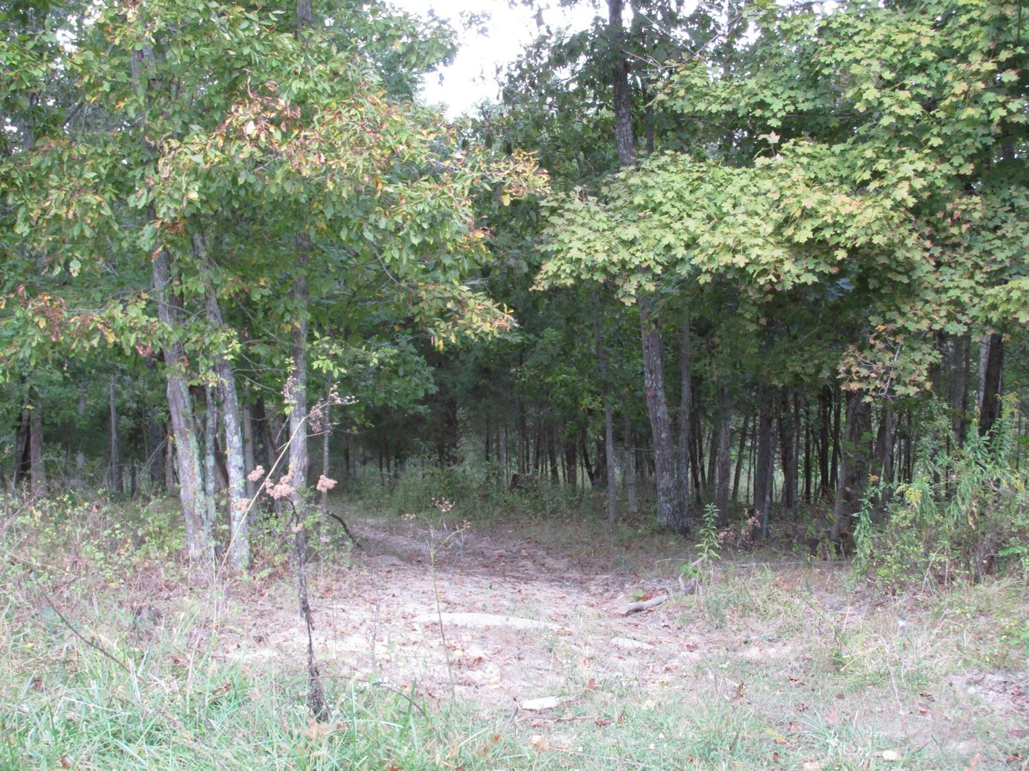 593 Center Ridge Road De Mossville, KY 41033 - Photo 22 of 26 Gallery Image 22