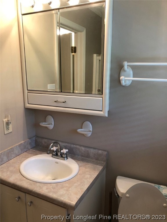 846 Bee Gee Road Lumberton, NC 28358 - Photo 32 of 42 a bathroom with a sink a toilet and a mirror