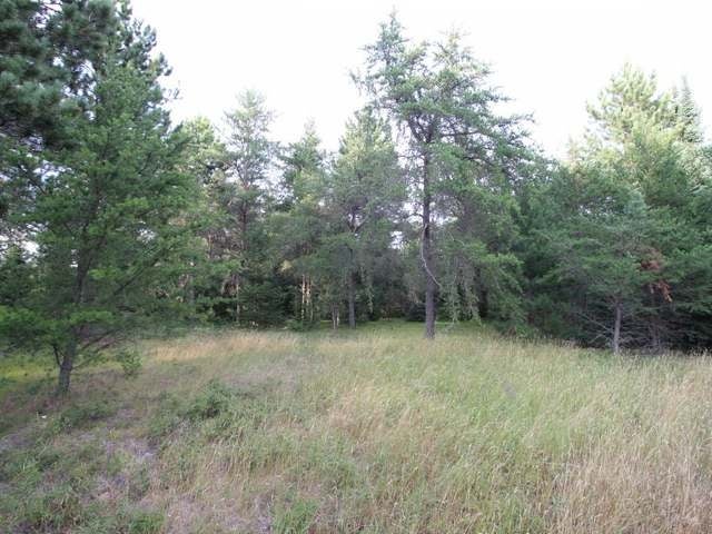 40 A Skunk Creek Road Rhinelander, WI 54501 - Photo 7 of 11 Gallery Image 7