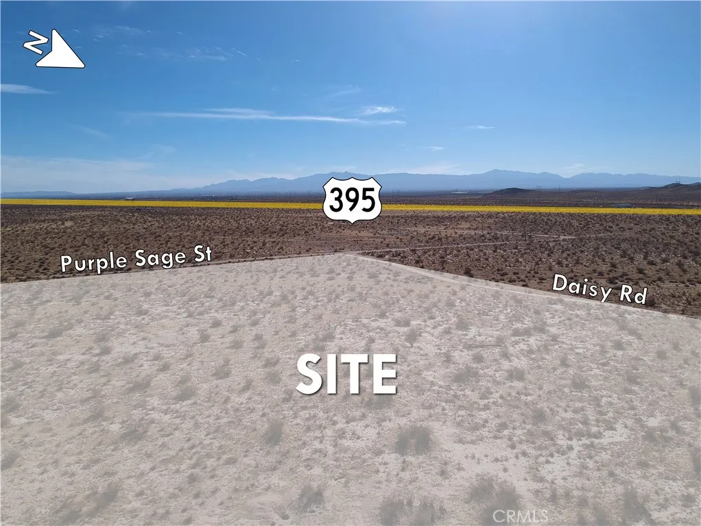 0 Daisy Pasadena, CA 91107 - Photo 3 of 8 a view of a street