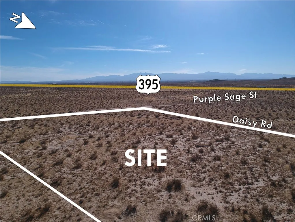 0 Daisy Pasadena, CA 91107 - Photo 4 of 8 a view of a street