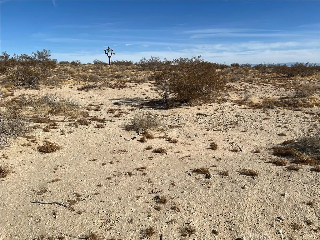 0 Daisy Pasadena, CA 91107 - Photo 7 of 8 a view of a sky