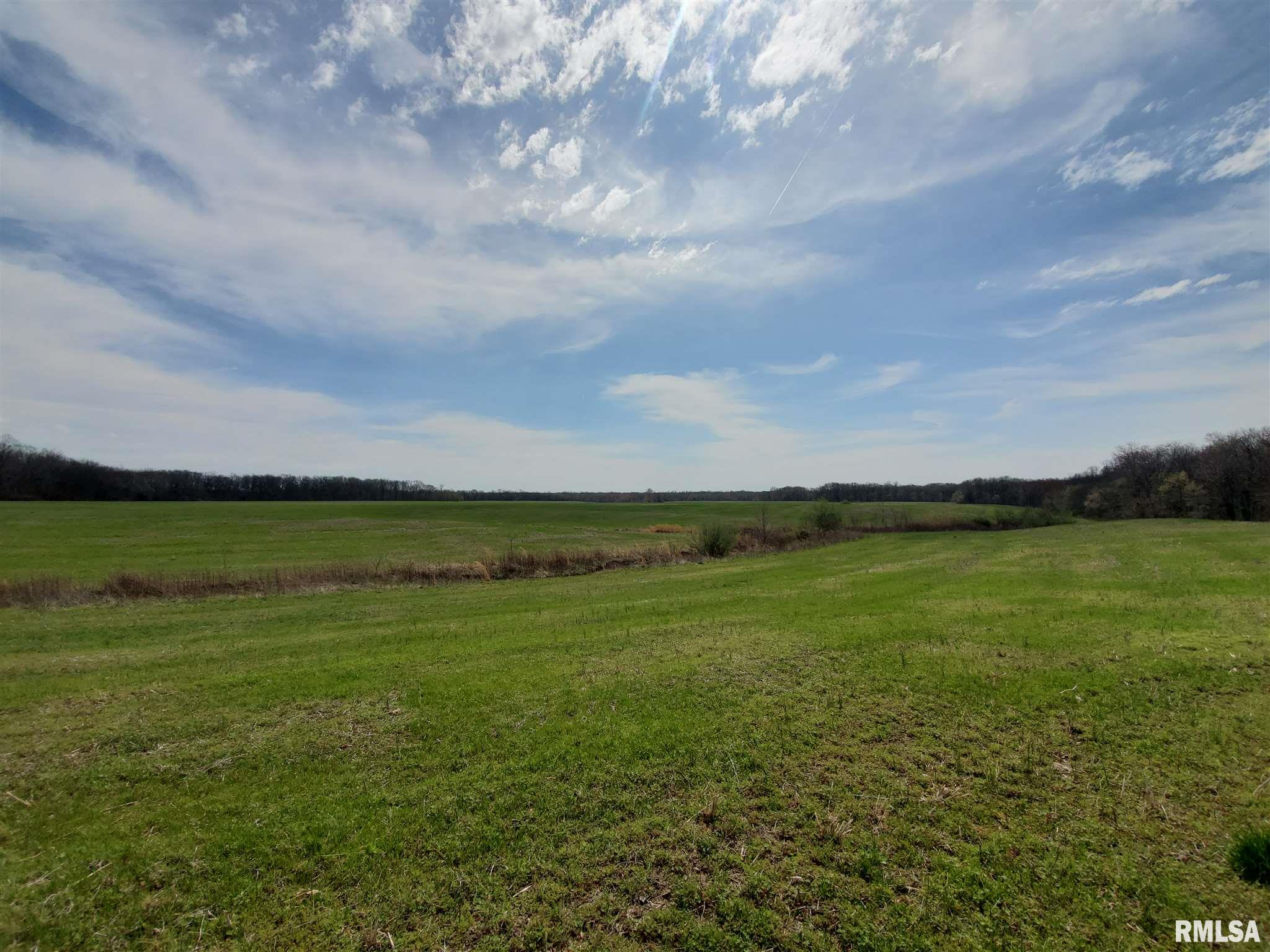 0 Hawk Road Tamaroa, IL 62888 - Photo 1 of 40
