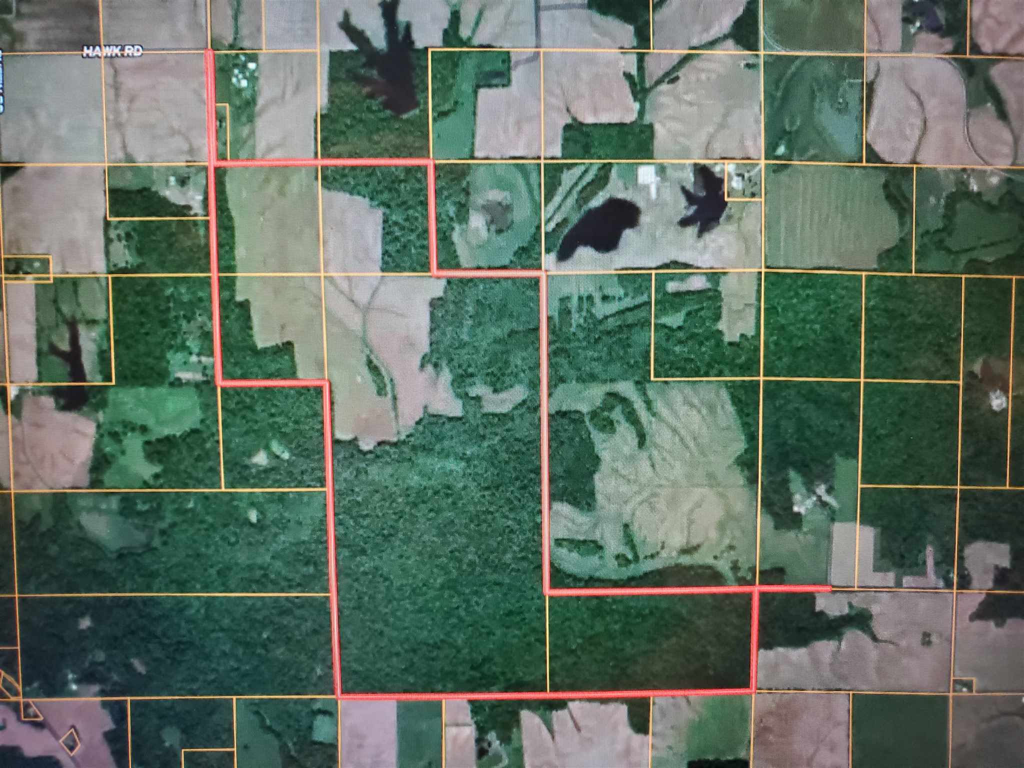 0 Hawk Road Tamaroa, IL 62888 - Photo 3 of 40