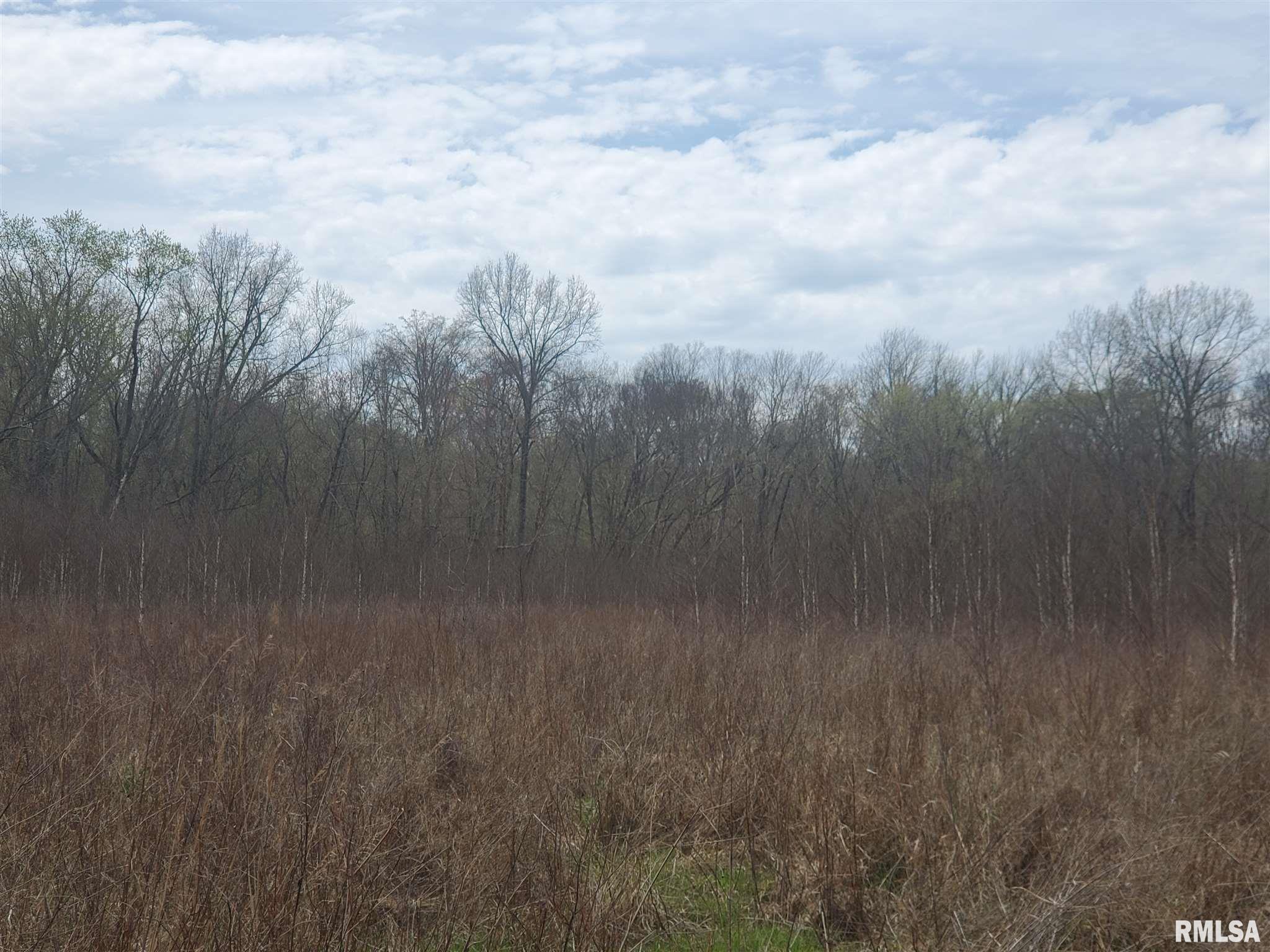 0 Hawk Road Tamaroa, IL 62888 - Photo 8 of 40