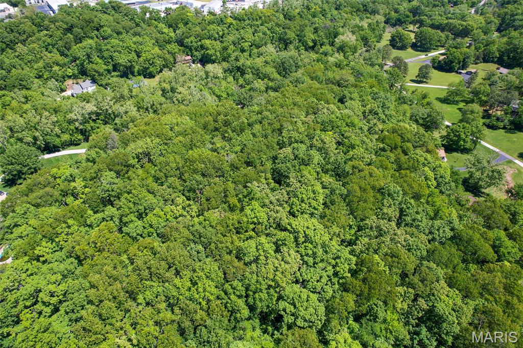 0 Green Valley Drive High Ridge, MO 63049 - Photo 13 of 22