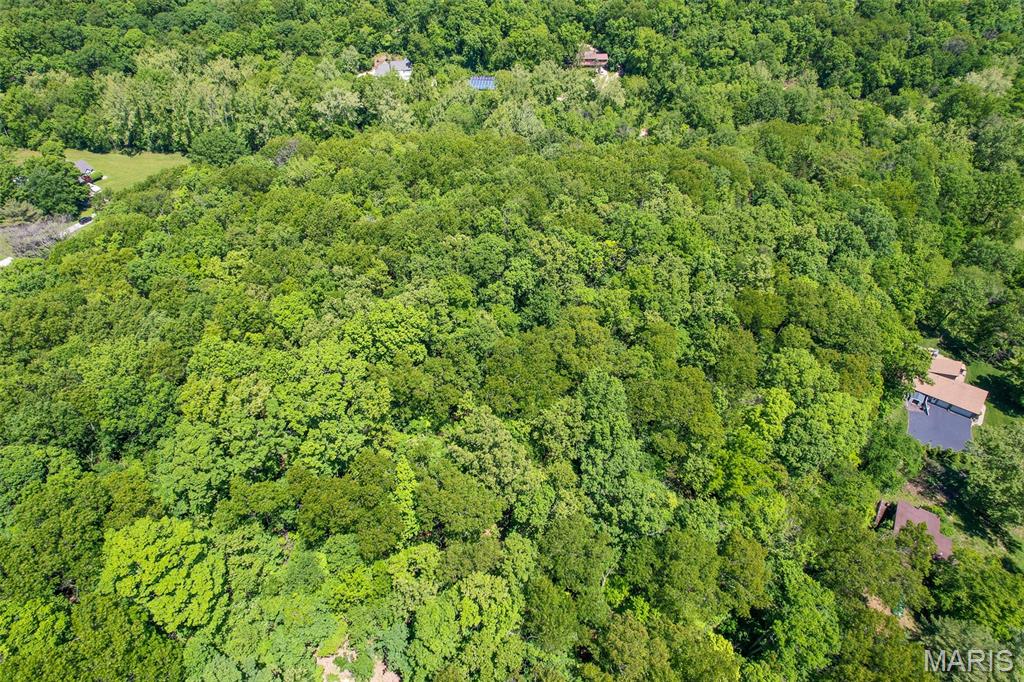 0 Green Valley Drive High Ridge, MO 63049 - Photo 14 of 22