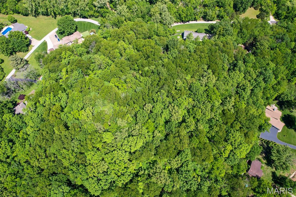 0 Green Valley Drive High Ridge, MO 63049 - Photo 15 of 22
