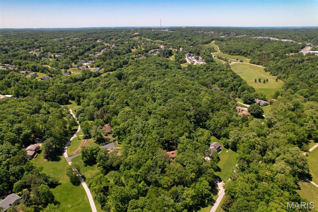 0 Green Valley Drive High Ridge, MO 63049 - Photo 20 of 22