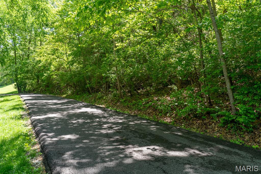 0 Green Valley Drive High Ridge, MO 63049 - Photo 5 of 22