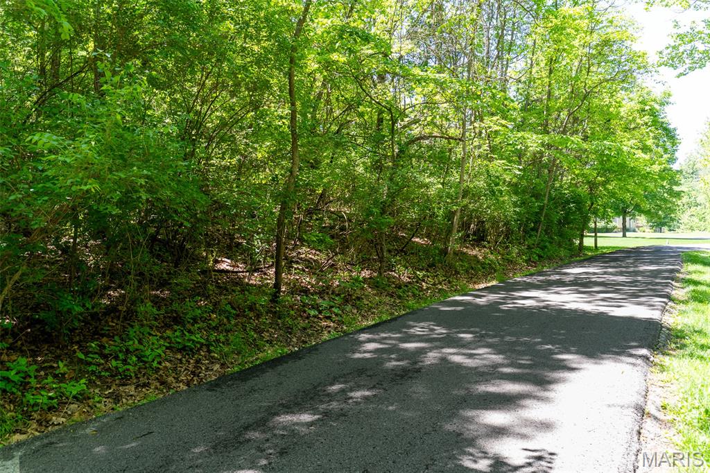 0 Green Valley Drive High Ridge, MO 63049 - Photo 6 of 22