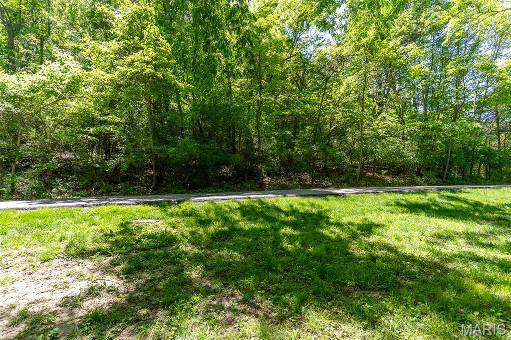 0 Green Valley Drive High Ridge, MO 63049 - Photo 7 of 22
