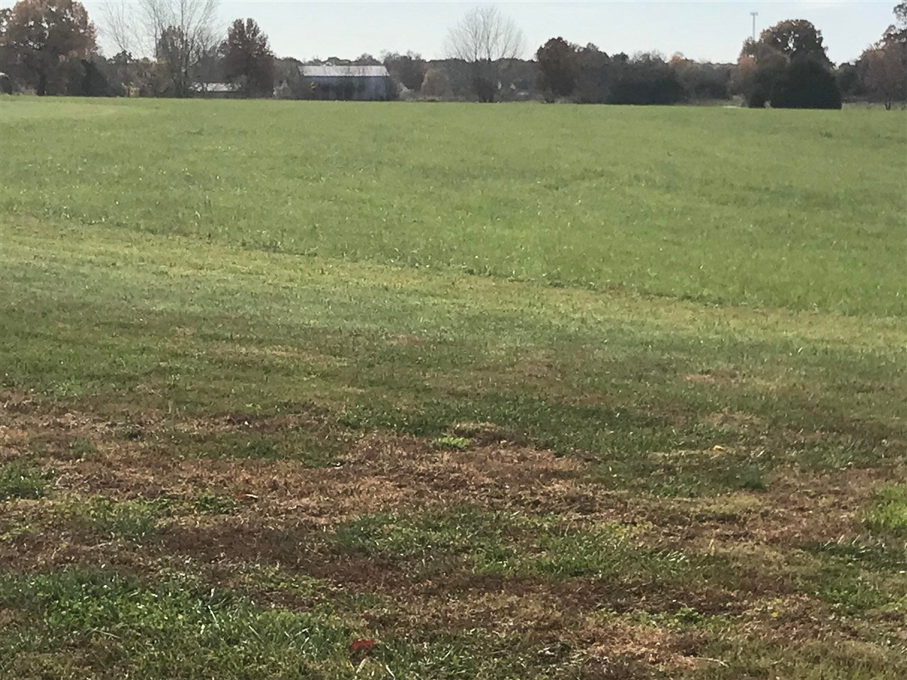 Tract #2 West G Talley Road Alvaton, KY 42122 - Photo 3 of 11 Gallery Image 3
