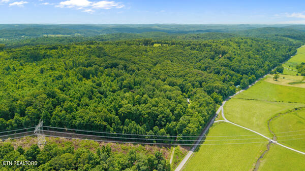 1913 Dry Fork Valley Road Philadelphia, TN 37846 - Photo 3 of 12 IMG_5765