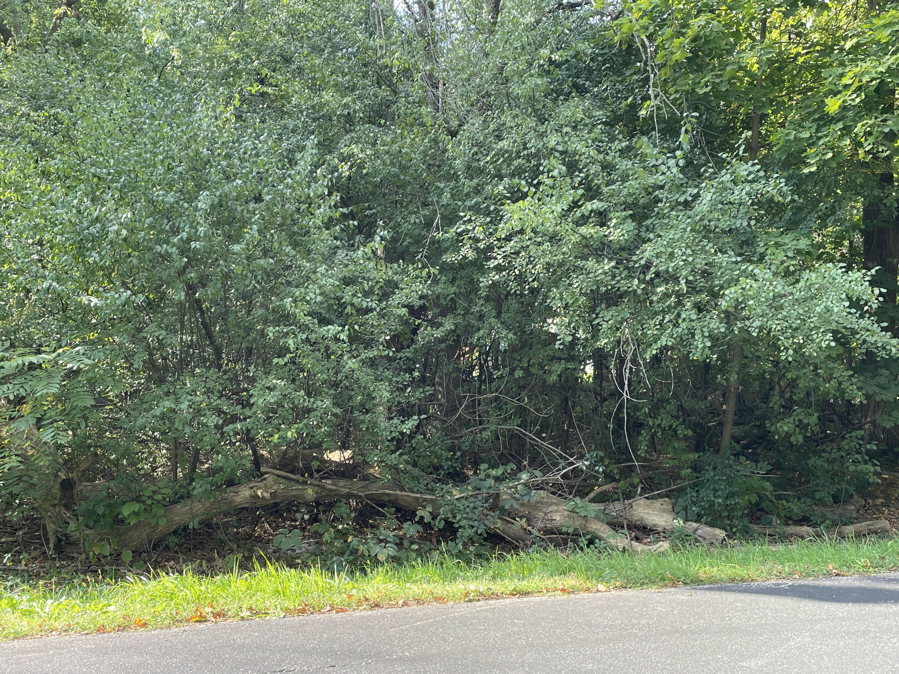 Lt7 Kearney Road, Unit LT8 Burlington, WI 53105 - Photo 1 of 1 unnamed (2)
