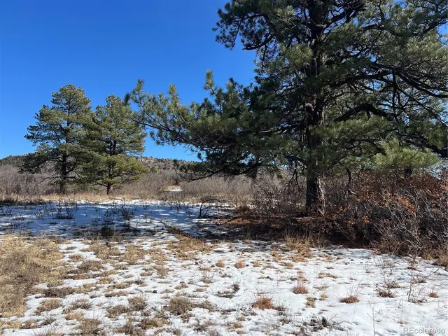 a view of a yard with trees