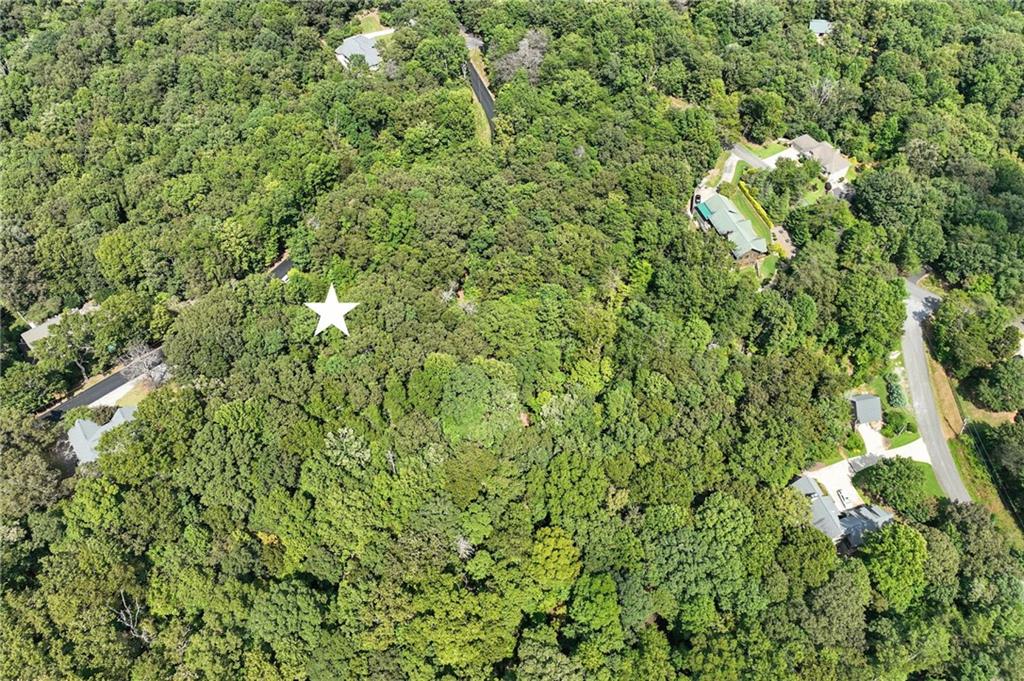 0 Robinson Road Dahlonega, GA 30533 - Photo 14 of 19 a view of a forest