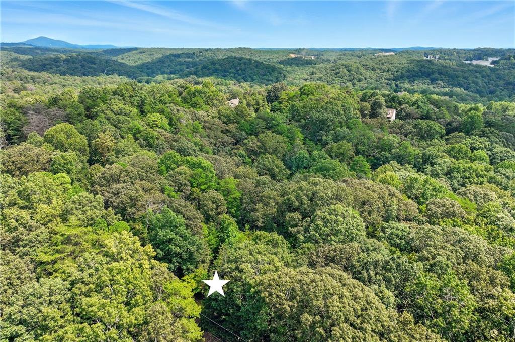 0 Robinson Road Dahlonega, GA 30533 - Photo 18 of 19 a view of a green field with lots of bushes