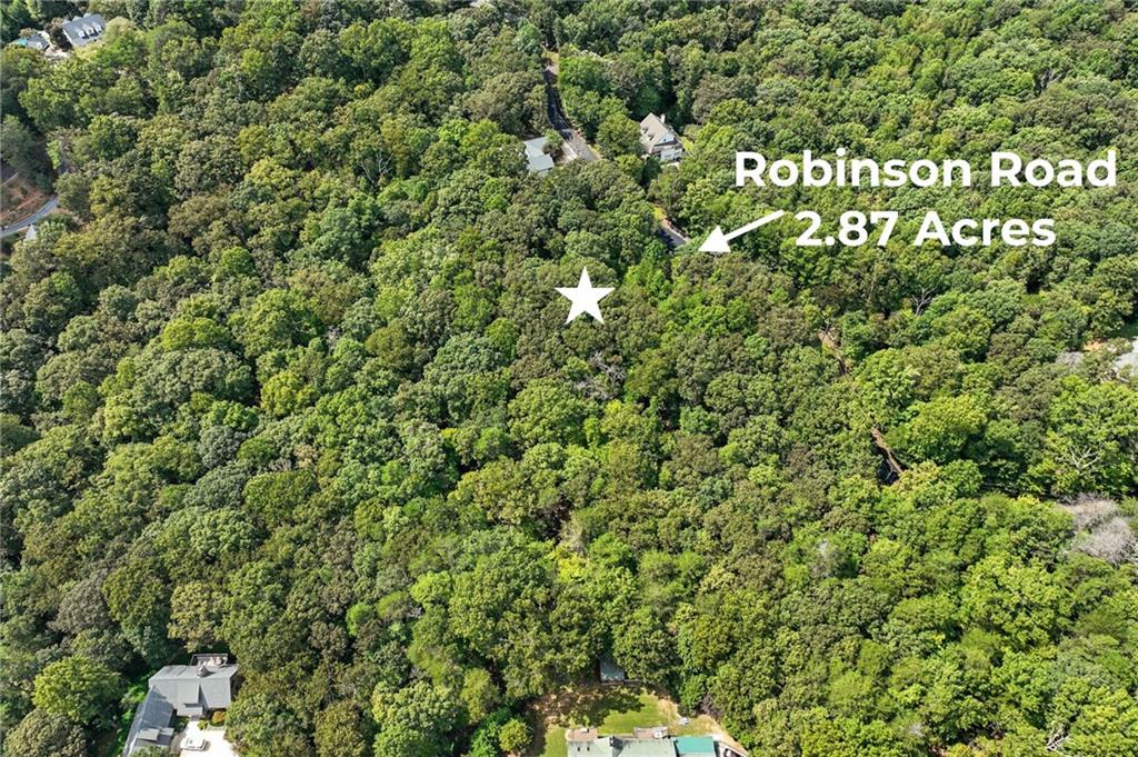 0 Robinson Road Dahlonega, GA 30533 - Photo 2 of 19 a view of a large yard with plants and flowers