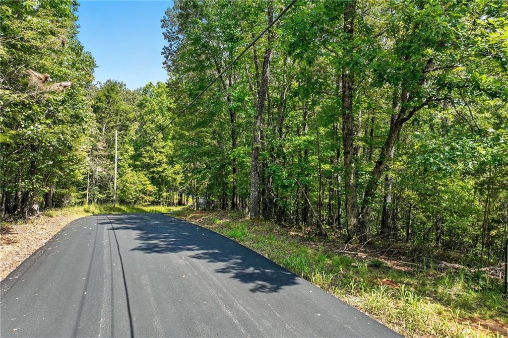 0 Robinson Road Dahlonega, GA 30533 - Photo 3 of 19 a view of a backyard with plants