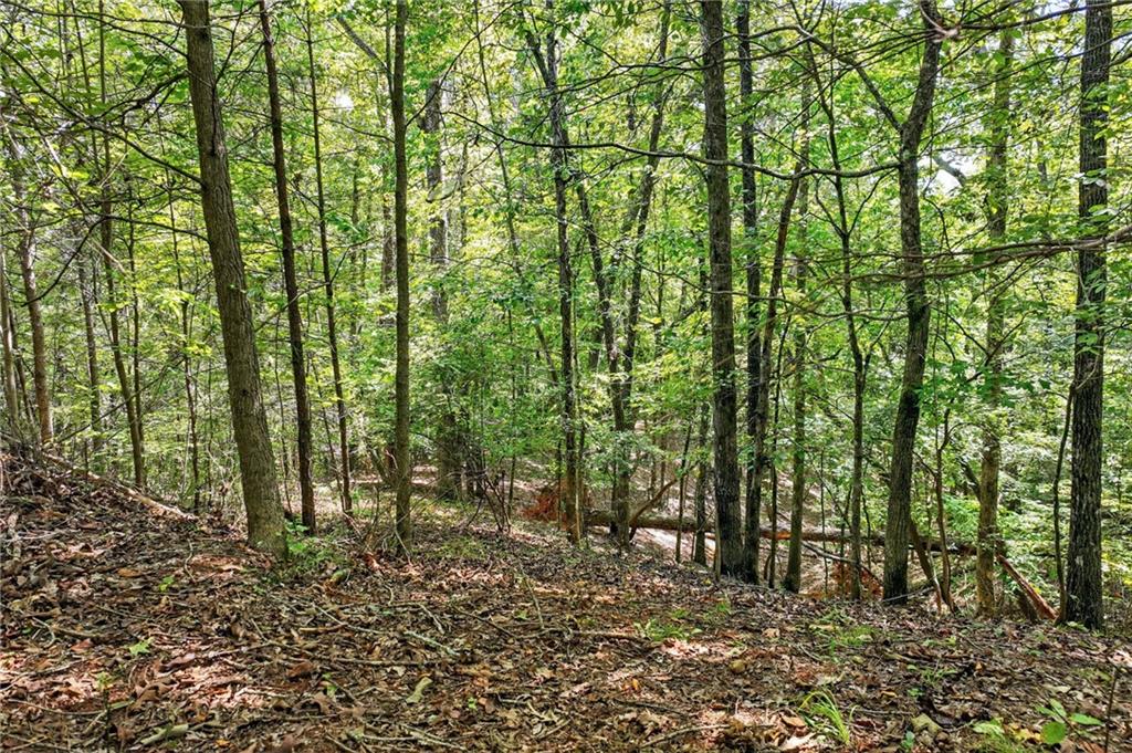 0 Robinson Road Dahlonega, GA 30533 - Photo 4 of 19 a view of outdoor space and trees