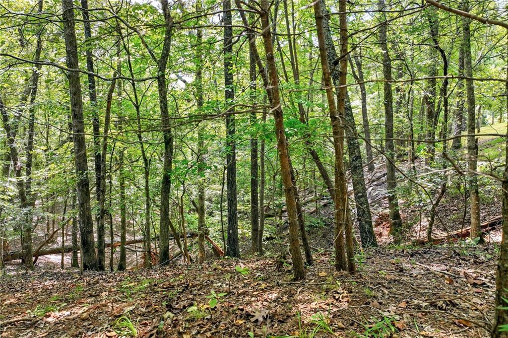 0 Robinson Road Dahlonega, GA 30533 - Photo 5 of 19 a view of under construction area