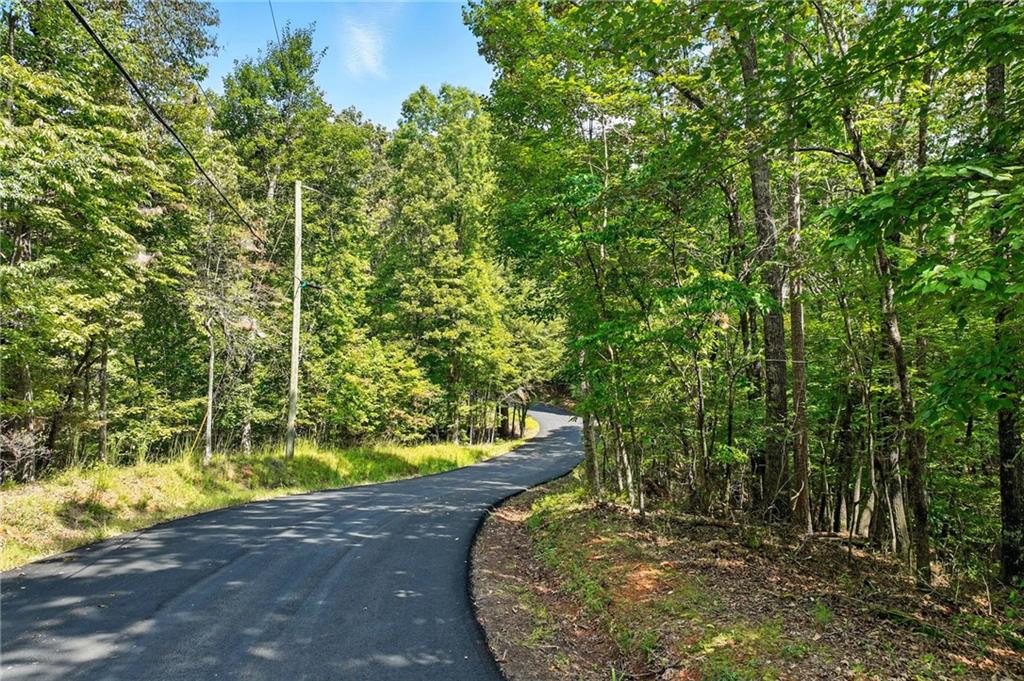 0 Robinson Road Dahlonega, GA 30533 - Photo 6 of 19 a view of a yard with plants