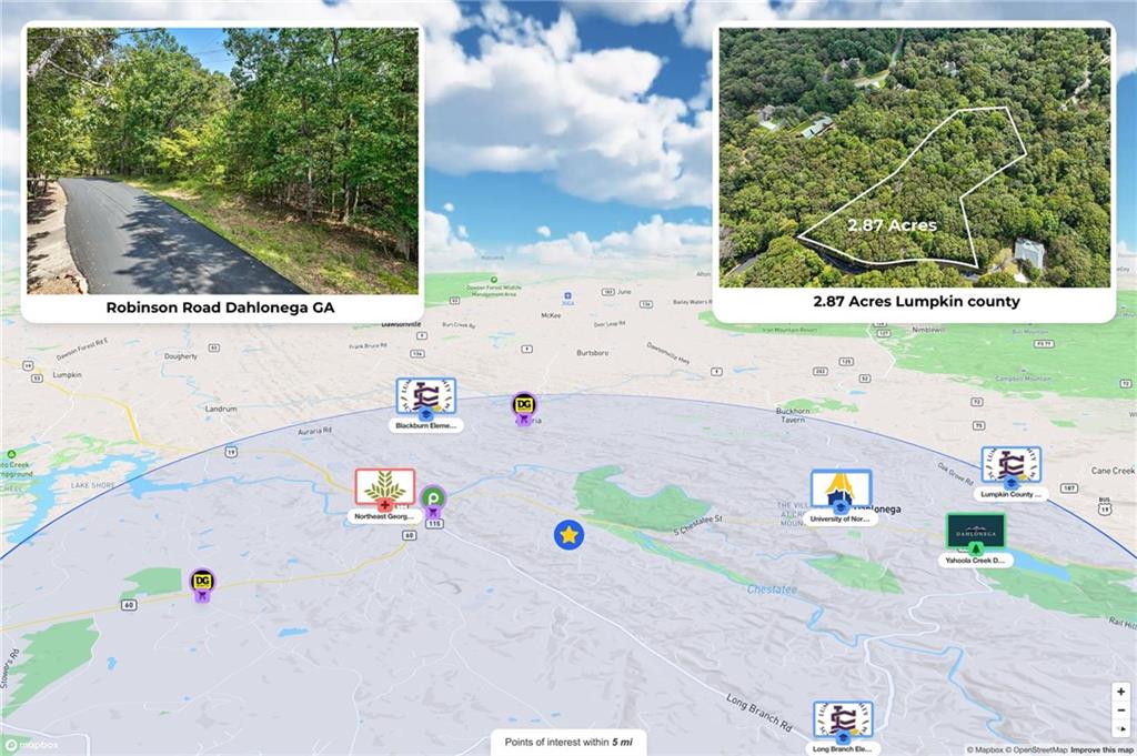 0 Robinson Road Dahlonega, GA 30533 - Photo 8 of 19 unknown