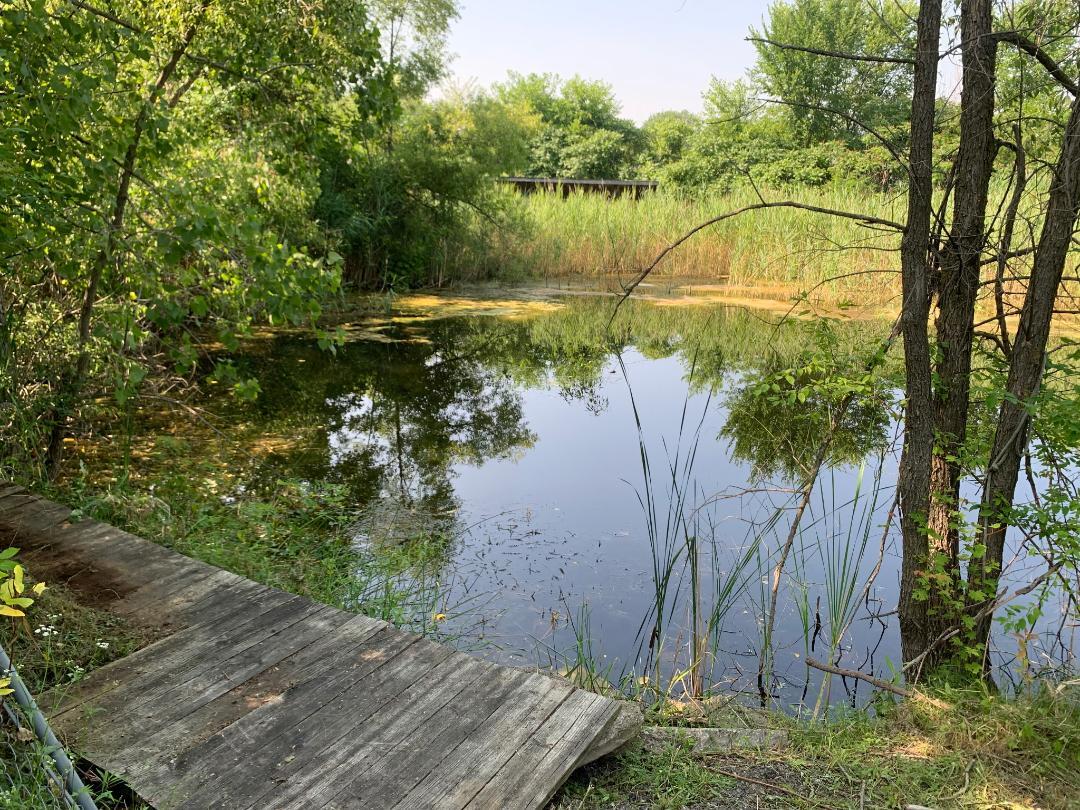 9540 Chubb Road Northville, MI 48167 - Photo 13 of 13 Pond