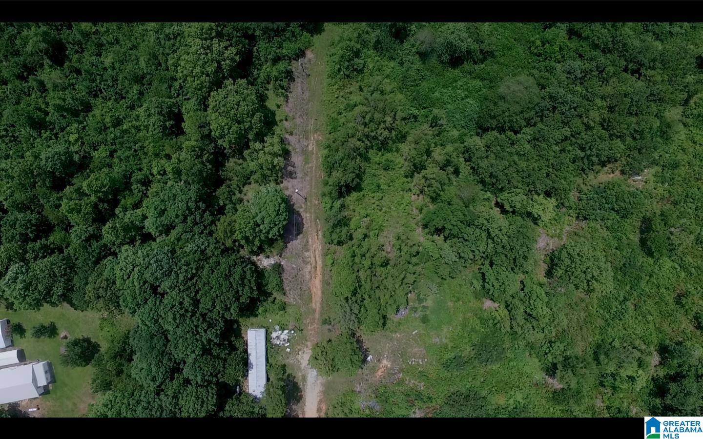 830 Mountain View Road, Unit 1 Talladega, AL 35160 - Photo 5 of 11