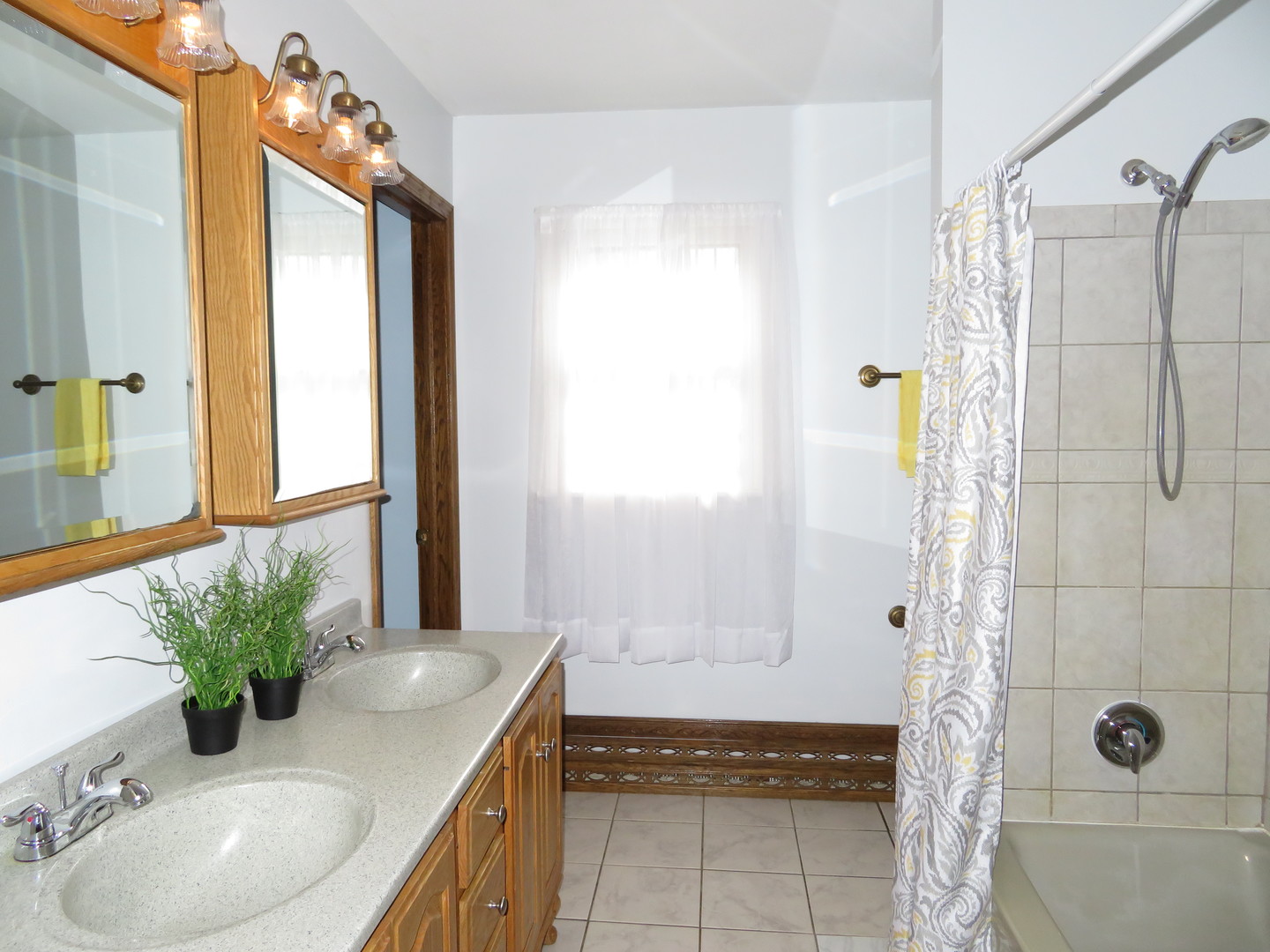 N724 Peter Road Wheaton, IL 60187 - Photo 13 of 25