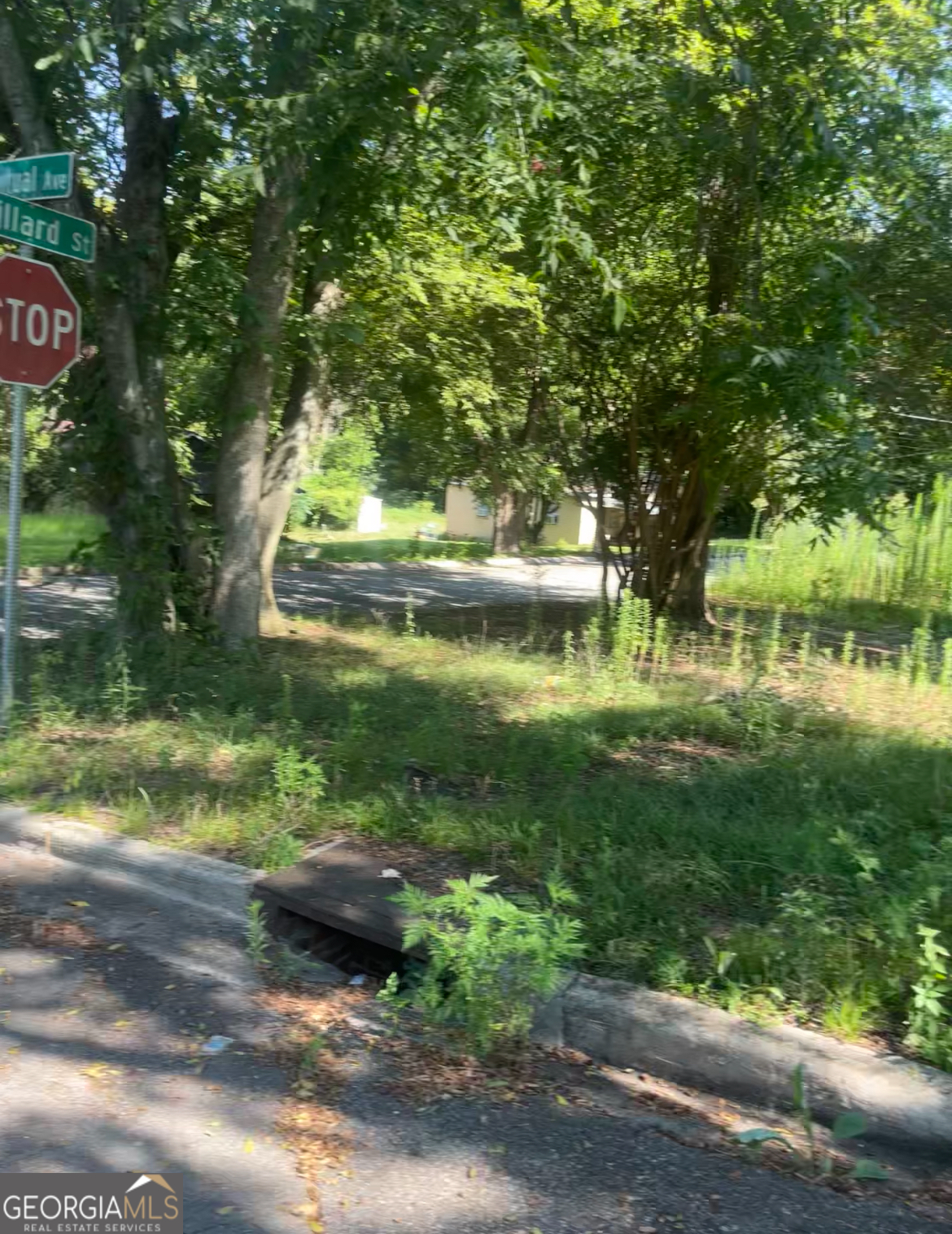a view of a yard with a tree