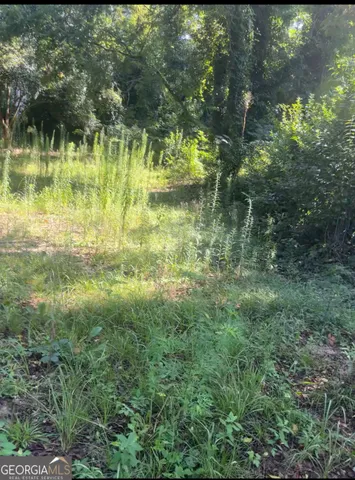 $15,000 | 373 Gaillard Street, Macon, GA 31204