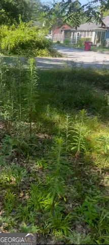 $15,000 | 373 Gaillard Street, Macon, GA 31204